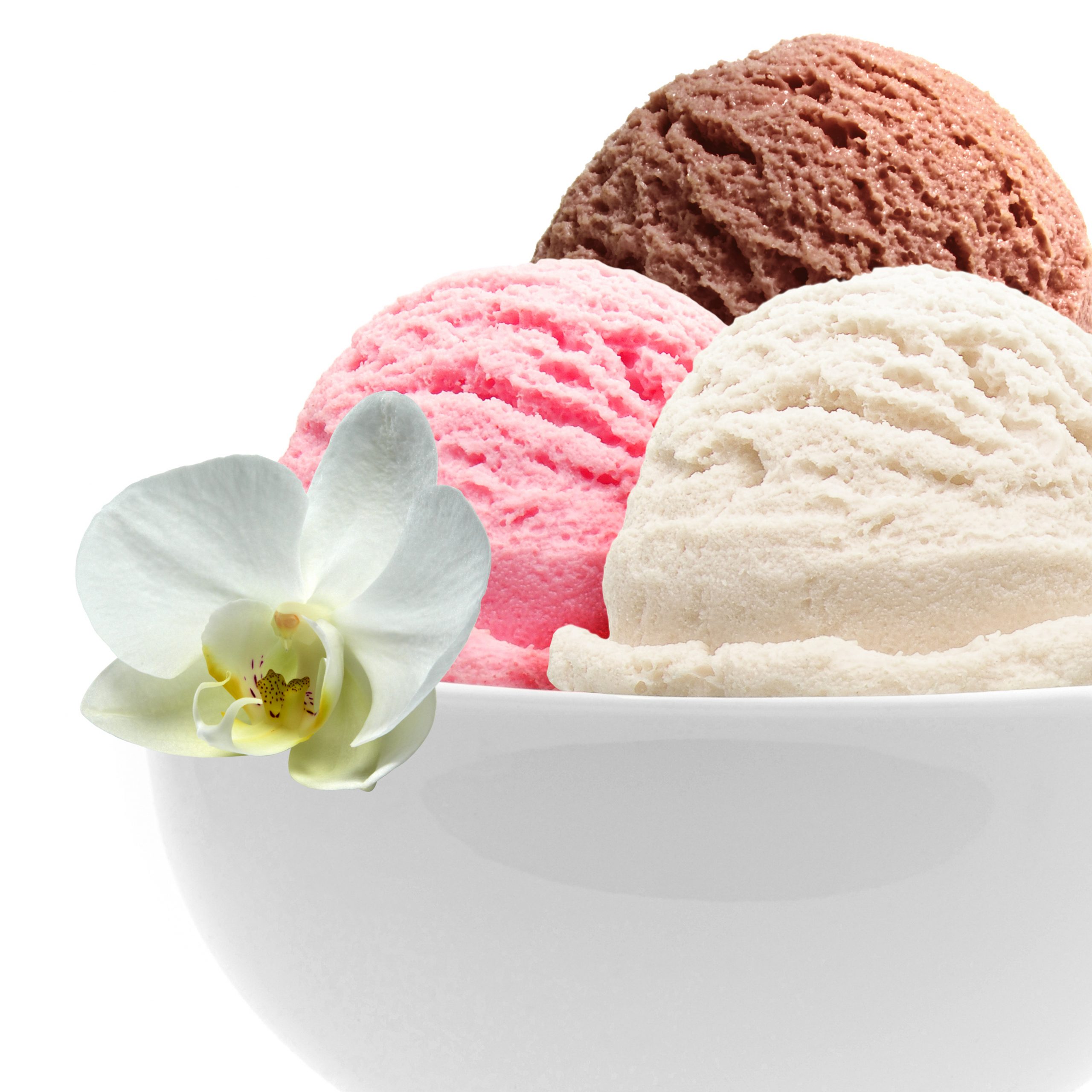 Ice Cream Primary Flavors