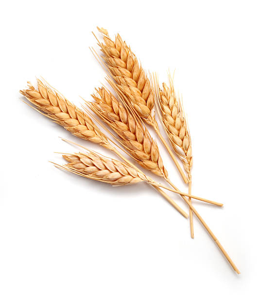 Allergen Isolated Dosing for wheat